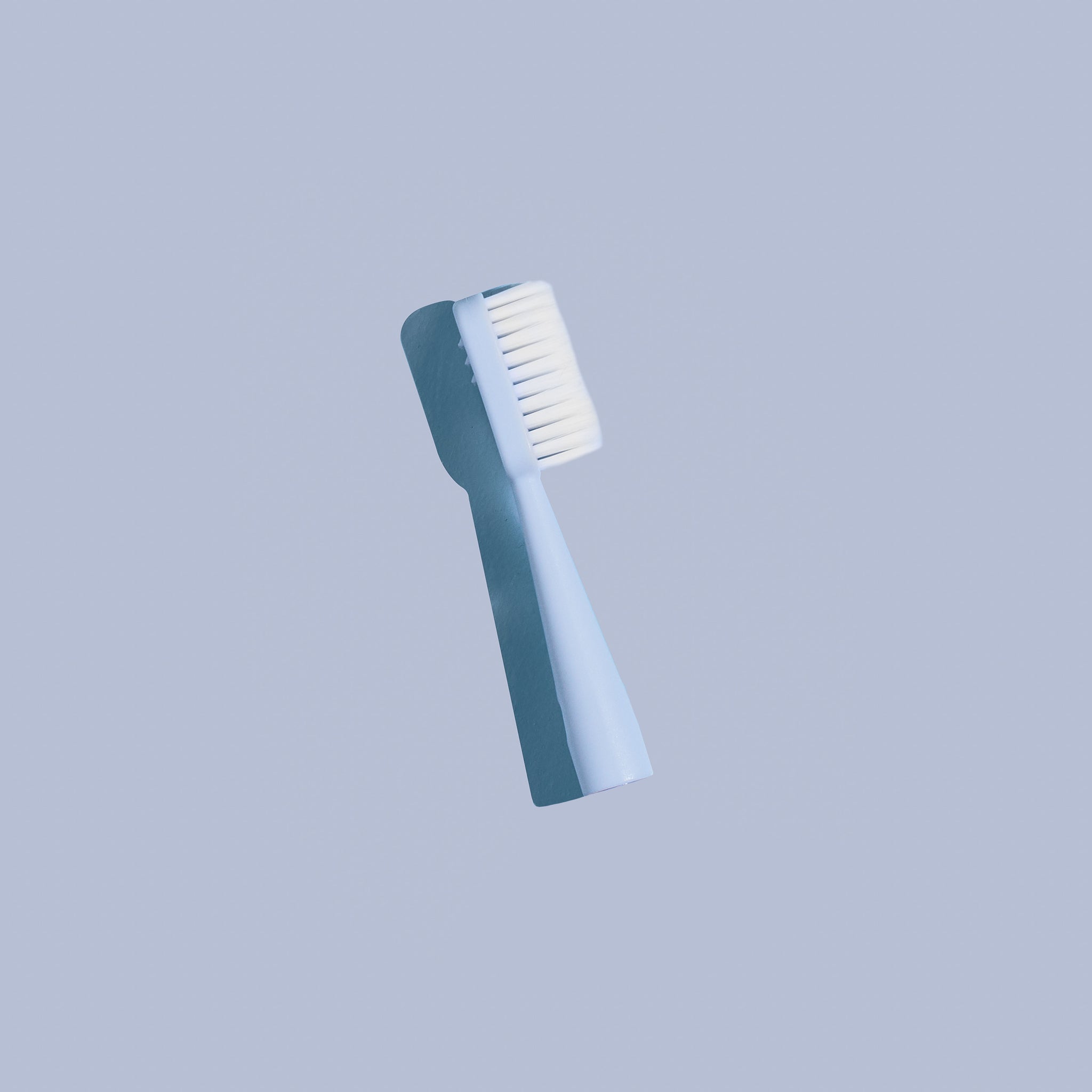 Toothbrush Head - Blue