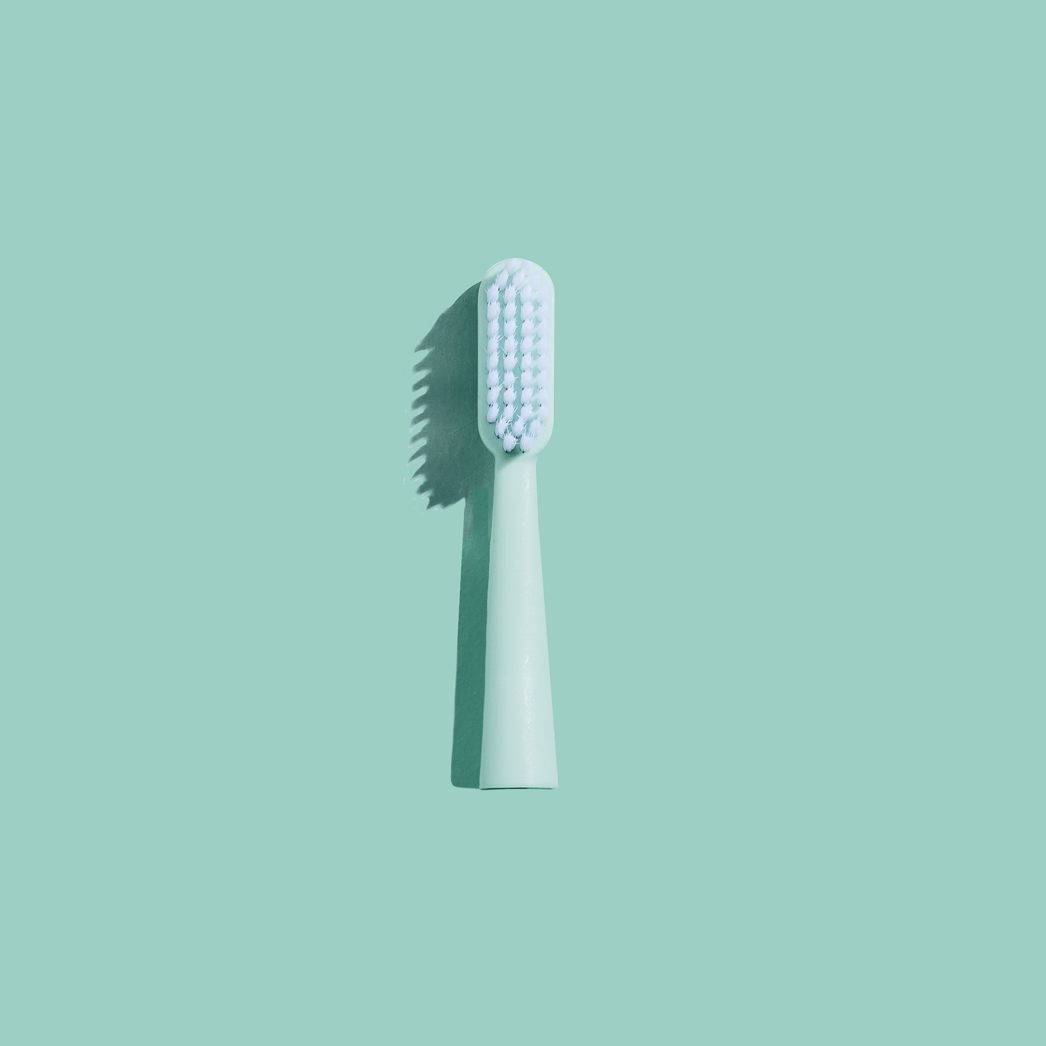 Toothbrush Head - Green